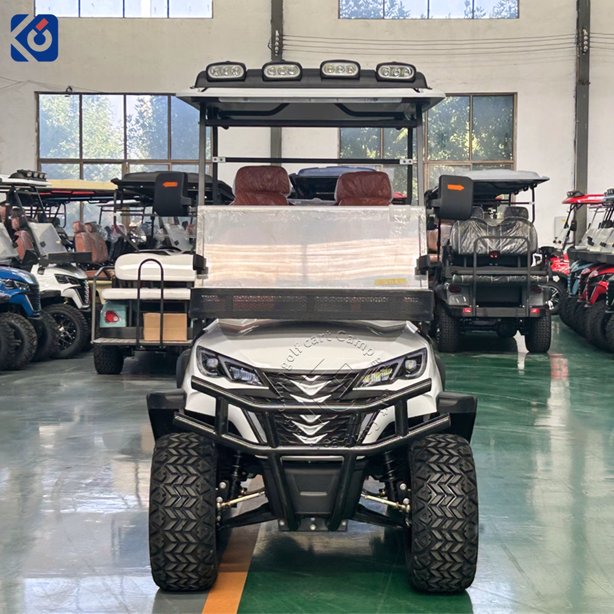 Custom 4 Seater Electric Golf Cart for Switzerland - Image 2