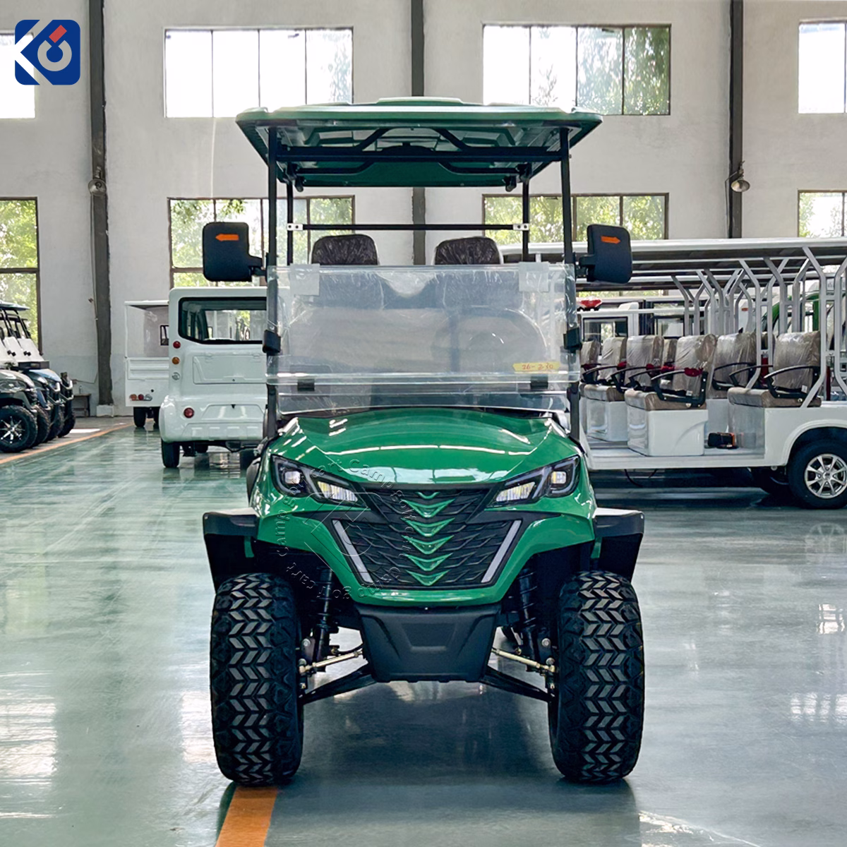 6-Seater Electric Golf Cart Customized for a Swedish Customer