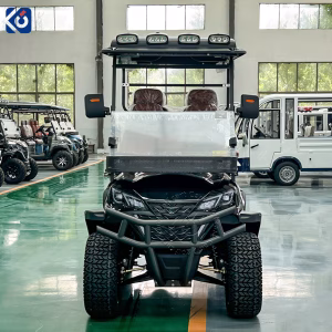 Aangepaste 4-zits elektrische golfbuggy voor persoonlijk en commercieel gebruik