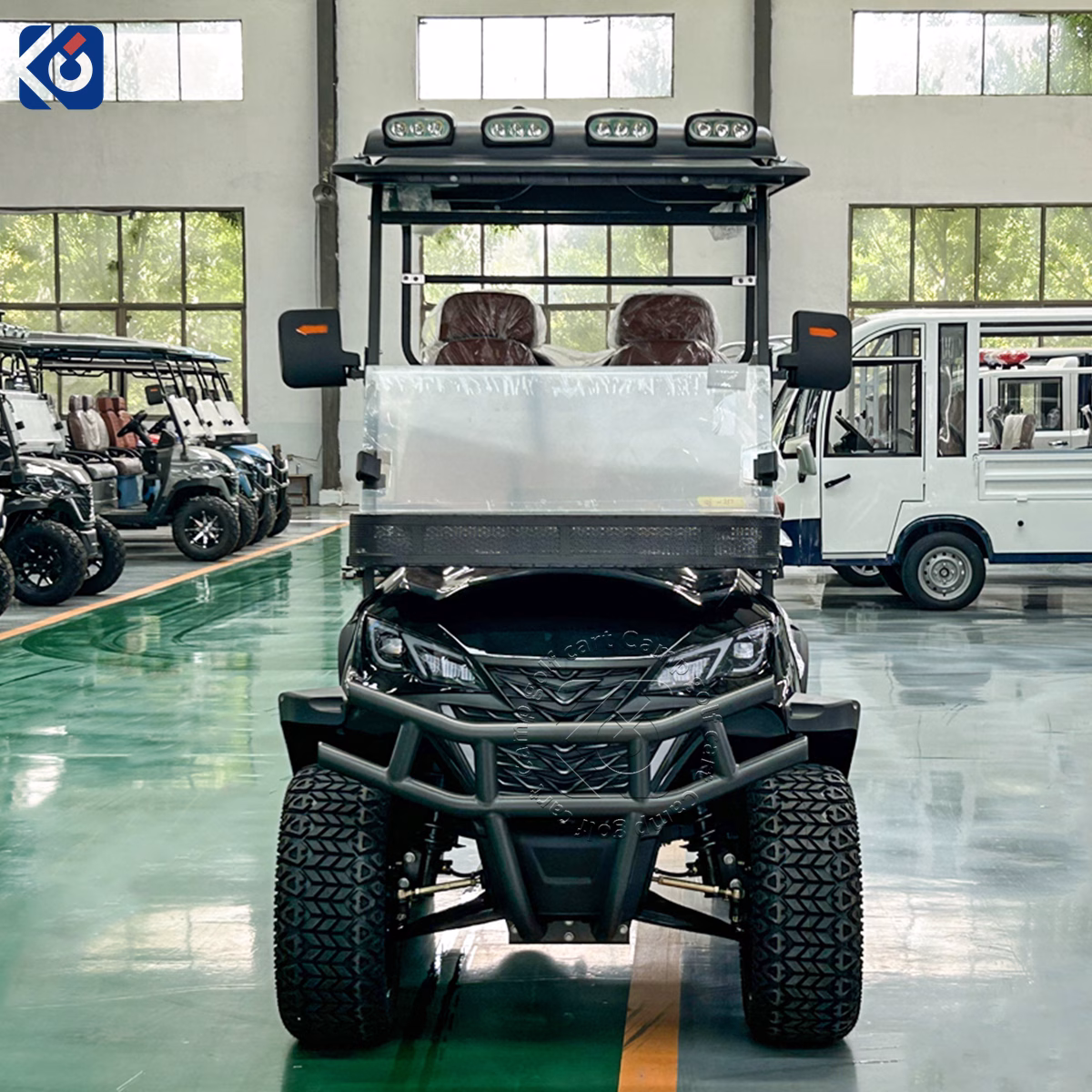 Aangepaste 4-zits elektrische golfbuggy voor persoonlijk en commercieel gebruik