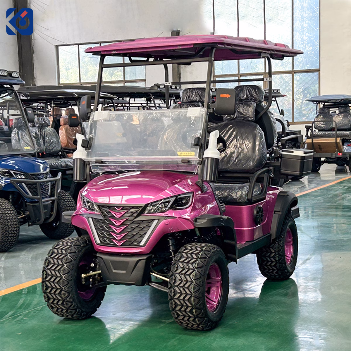 4 Seater Custom Electric Golf Cart Designed for European Customers - Image 2
