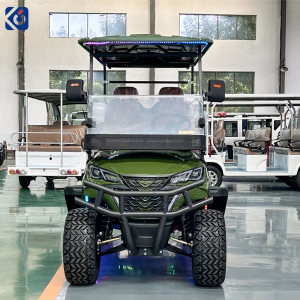 6 Seater Custom Electric Golf Cart for Monaco Golf Courses & Resorts