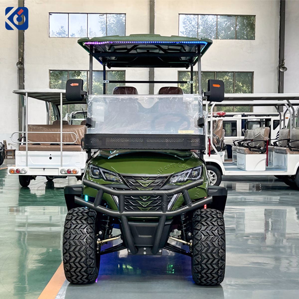 6 Seater Custom Electric Golf Cart for Monaco Golf Courses & Resorts