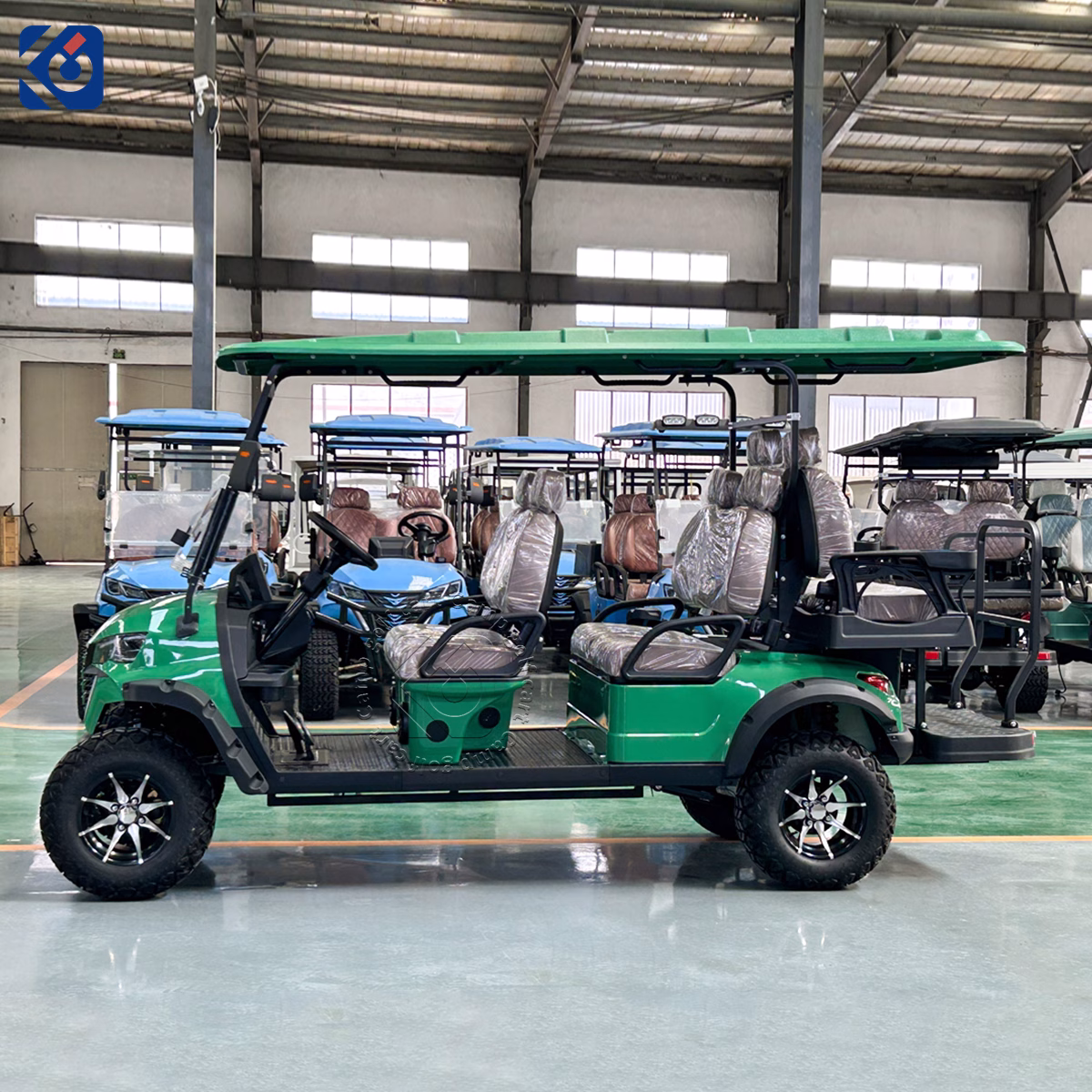 6-Seater Electric Golf Cart Customized for a Swedish Customer - Image 3