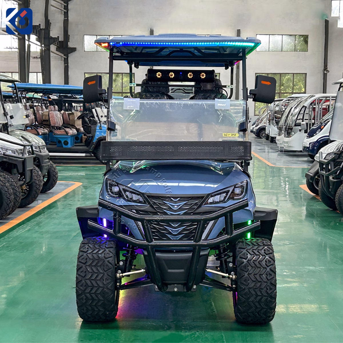Custom 6 Seater Electric Golf Cart Built for Austria & Europe