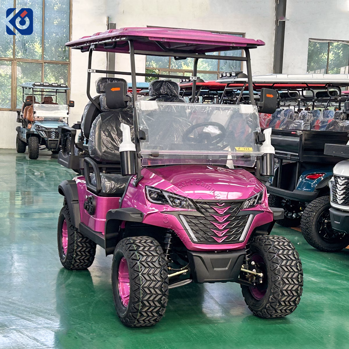 4 Seater Custom Electric Golf Cart Designed for European Customers - Image 7