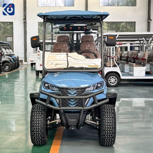 6-Seater Electric Golf Cart for Norway & Europe
