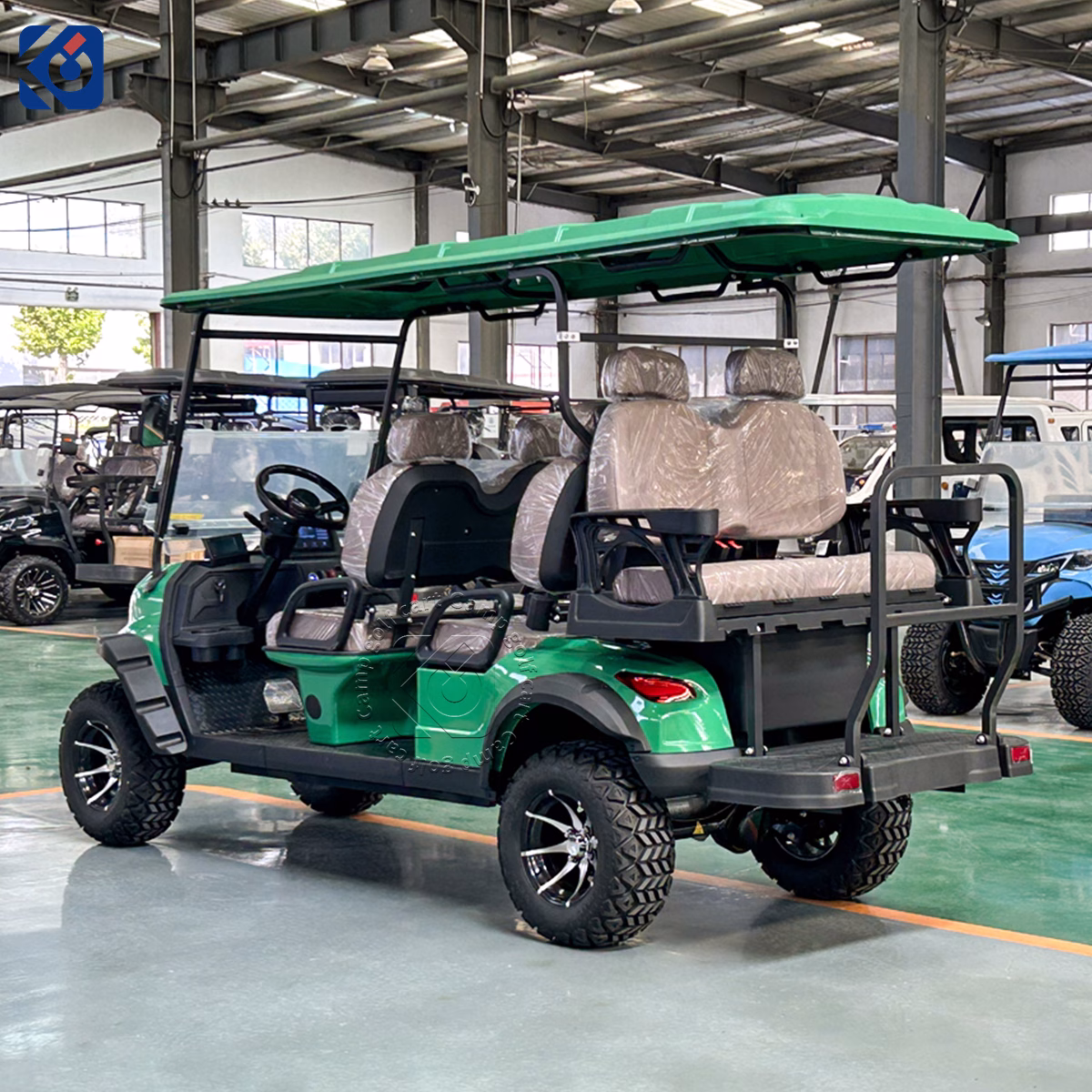 6-Seater Electric Golf Cart Customized for a Swedish Customer - Image 4