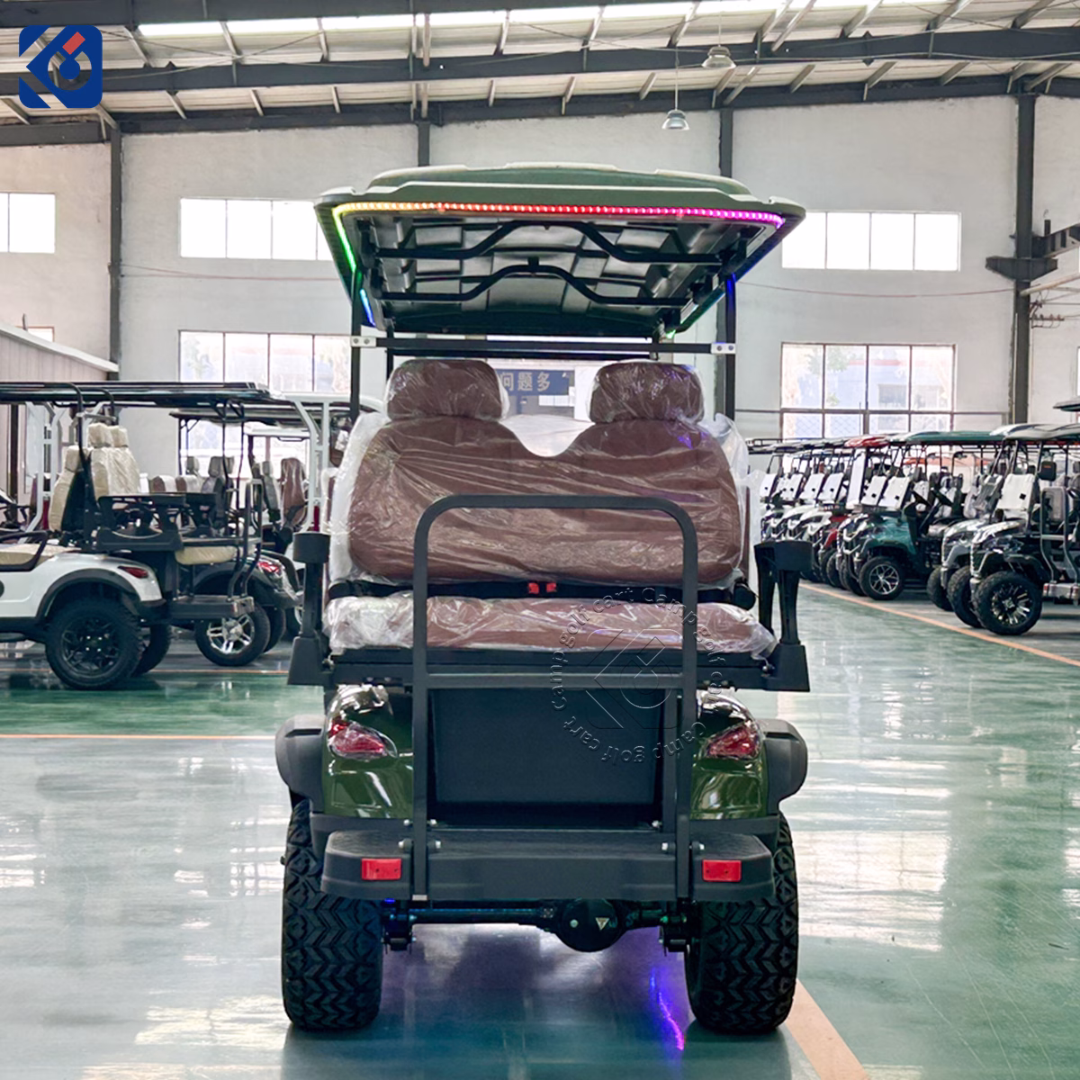 6 Seater Custom Electric Golf Cart for Monaco Golf Courses & Resorts - Image 4