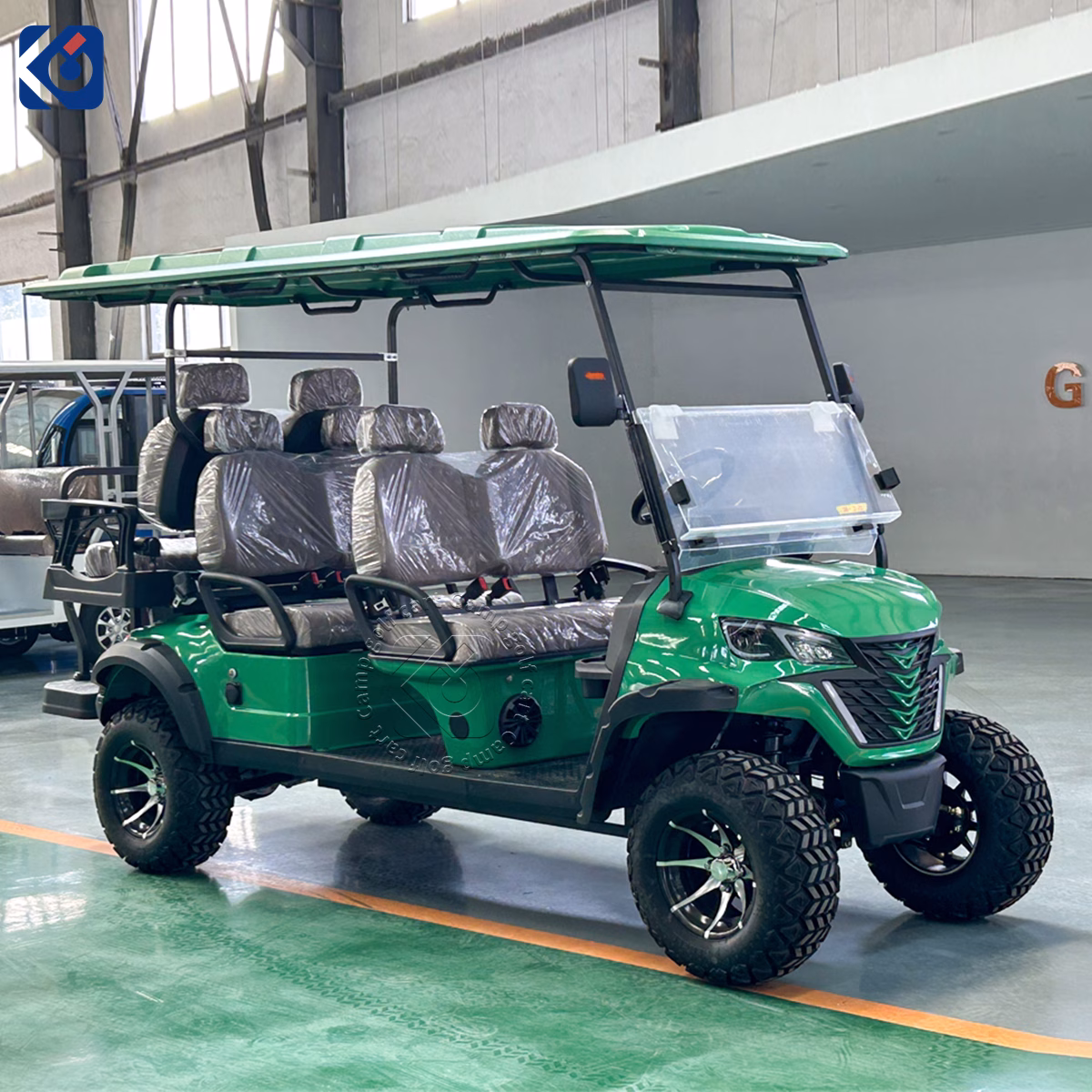 6-Seater Electric Golf Cart Customized for a Swedish Customer - Image 7