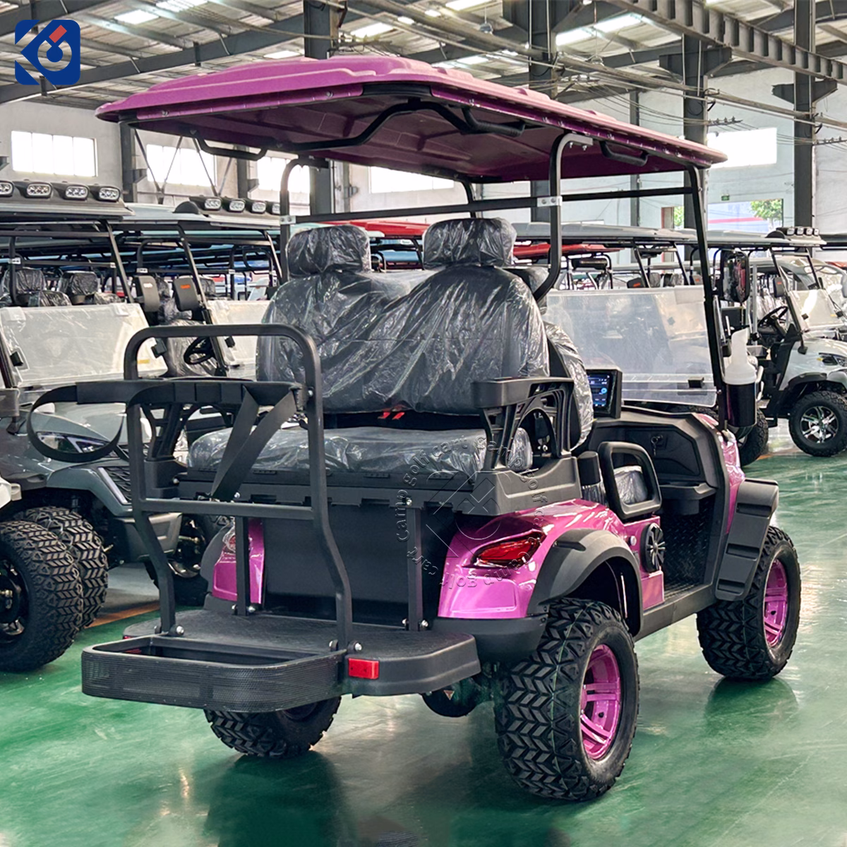 4 Seater Custom Electric Golf Cart Designed for European Customers - Image 5