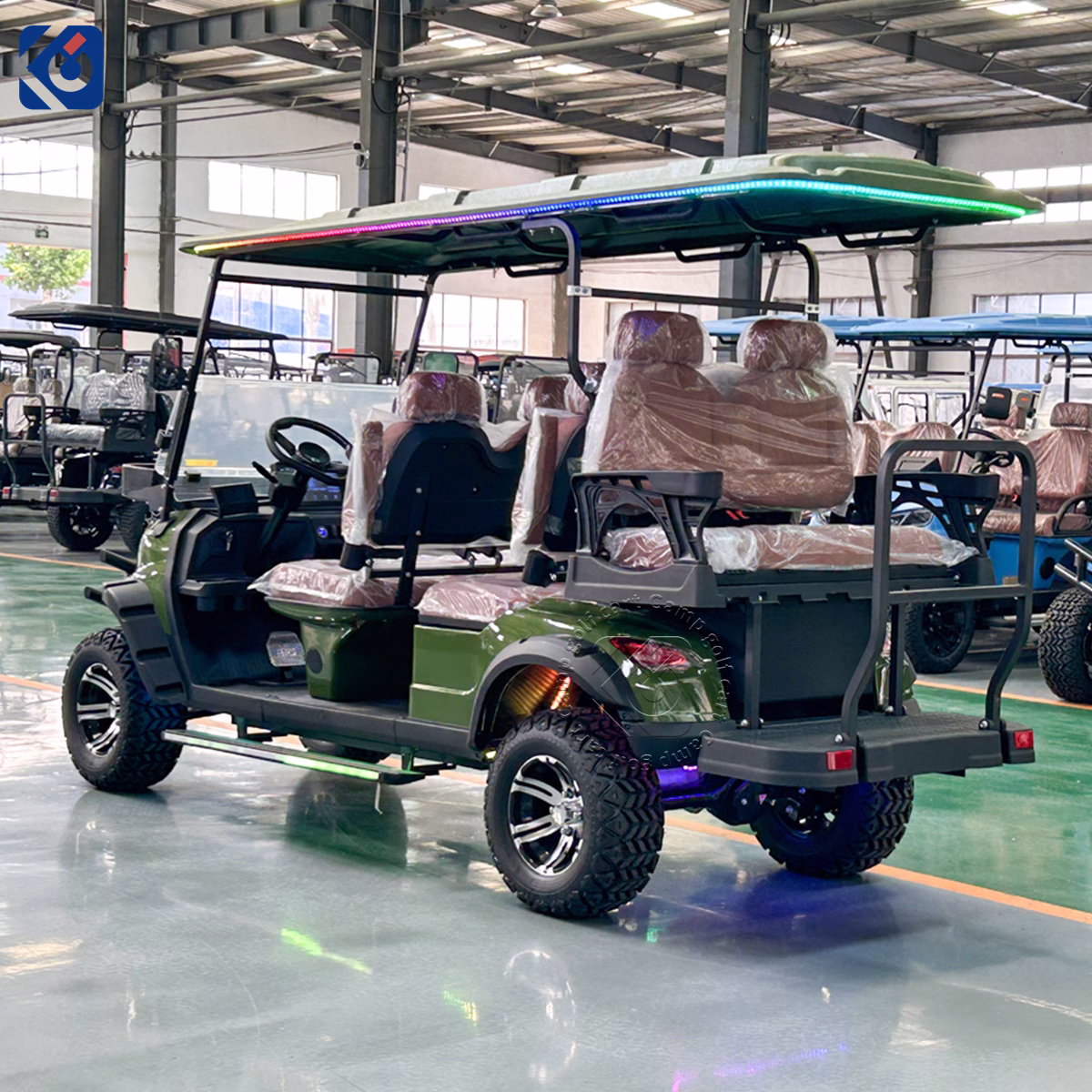 6 Seater Custom Electric Golf Cart for Monaco Golf Courses & Resorts - Image 5