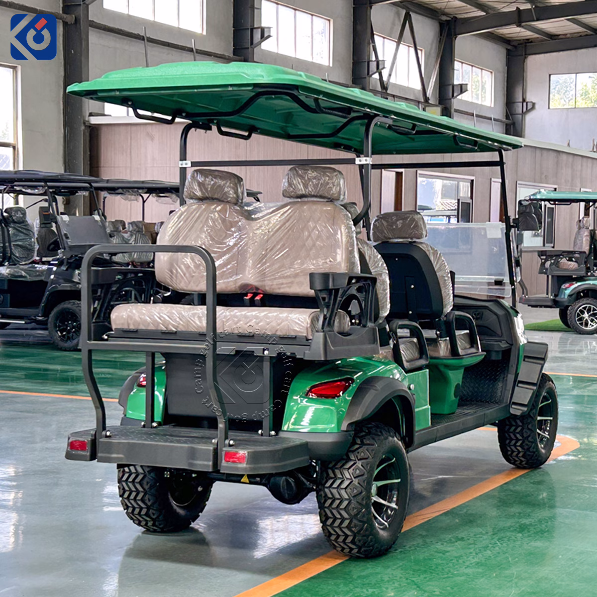 6-Seater Electric Golf Cart Customized for a Swedish Customer - Image 6