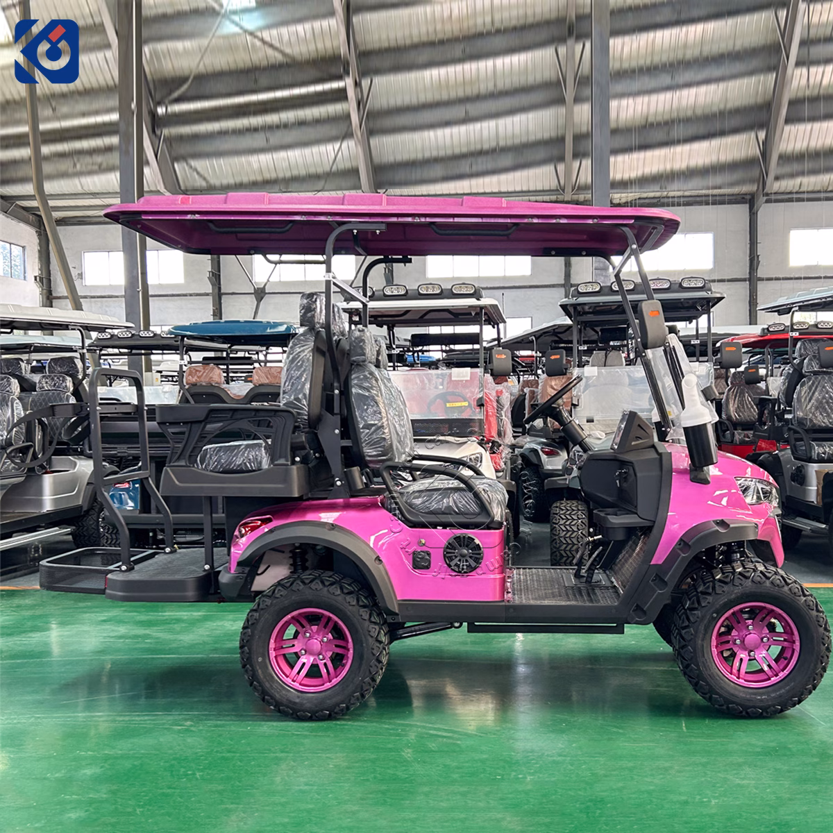 4 Seater Custom Electric Golf Cart Designed for European Customers - Image 6
