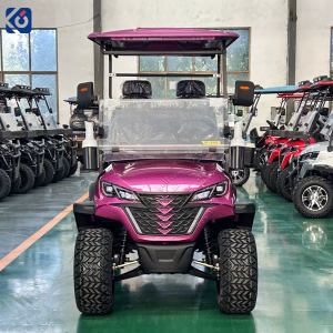 4 Seater Custom Electric Golf Cart Designed for European Customers