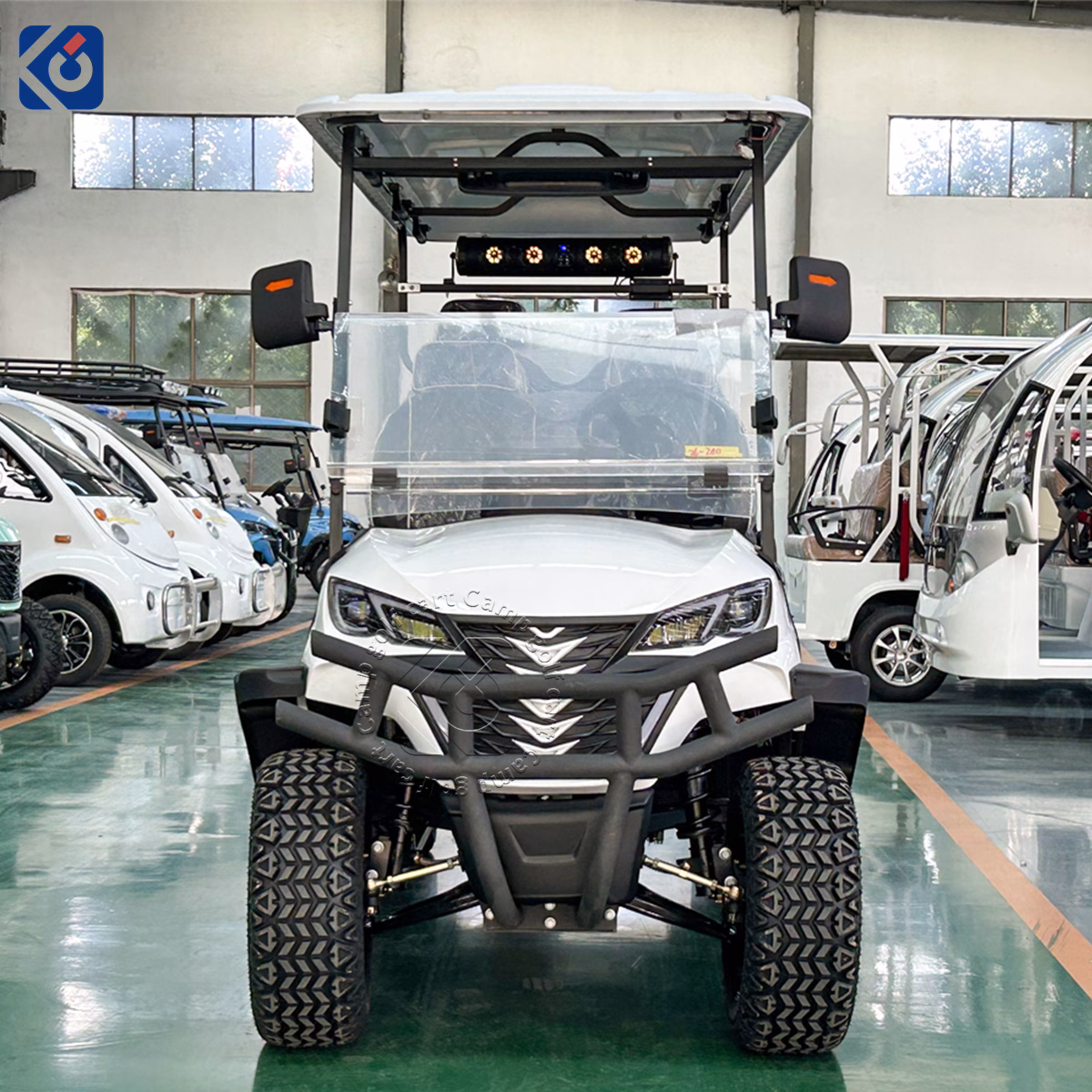6-Seater Custom Golf Cart for Finland
