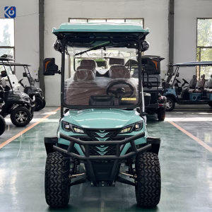 8-Seater Golf Cart Customized for Costa Rica