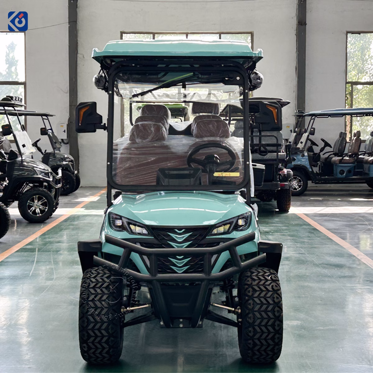 8-Seater Golf Cart Customized for Costa Rica