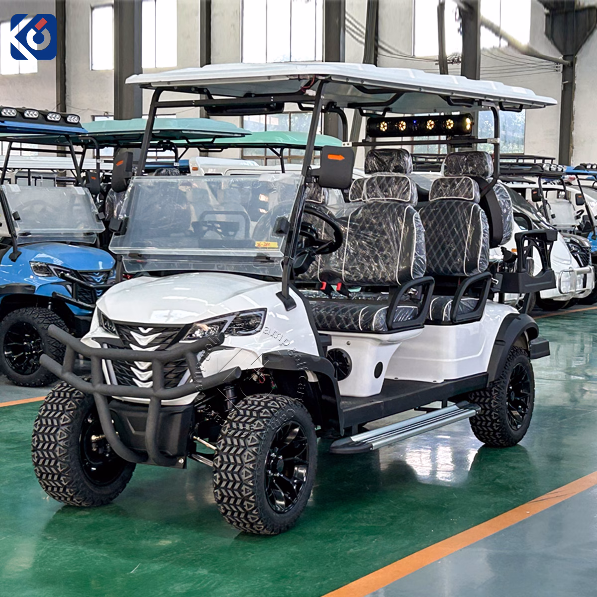 6-Seater Custom Golf Cart for Finland - Image 2