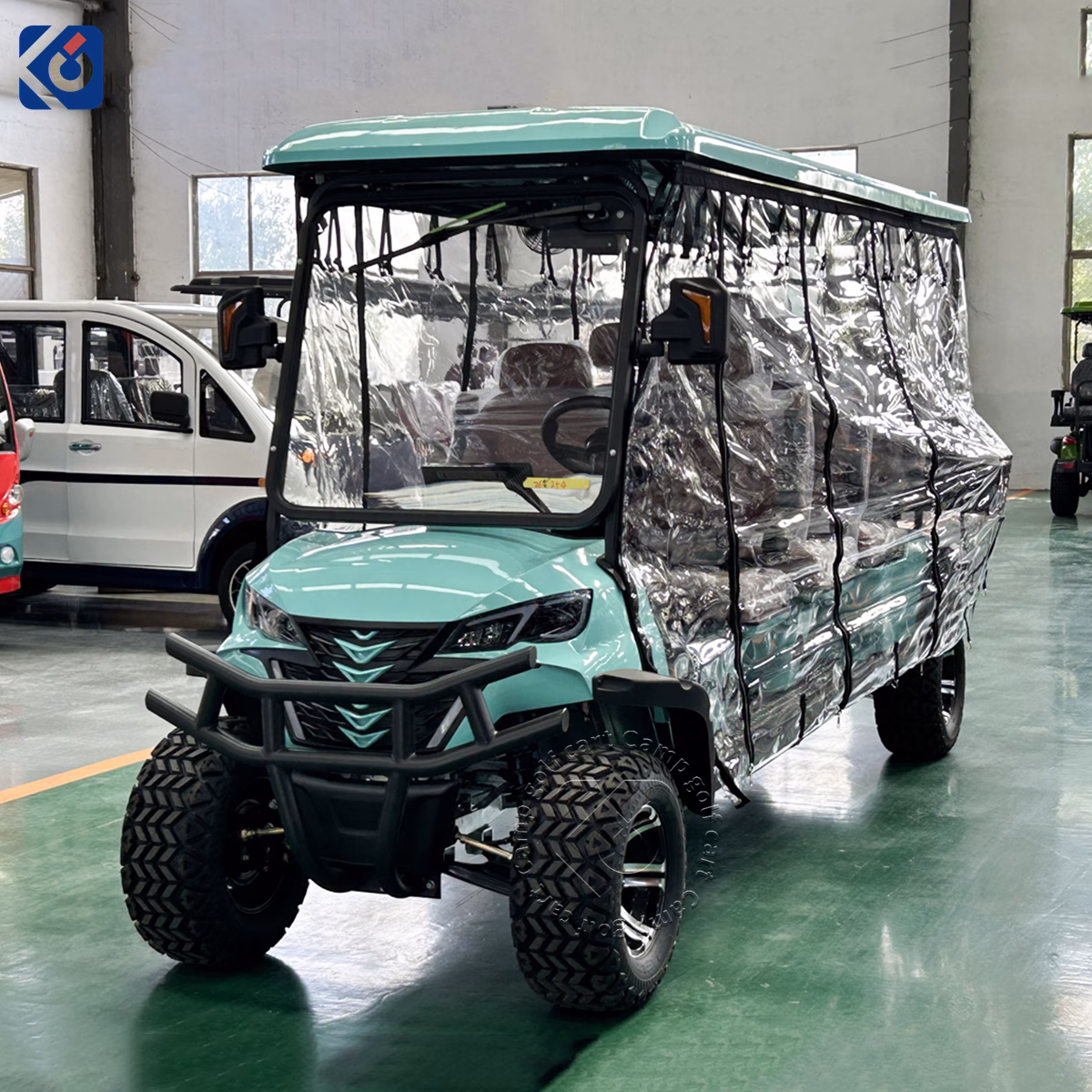 8-Seater Golf Cart Customized for Costa Rica - Image 3