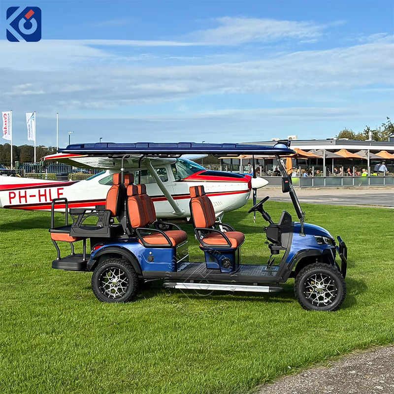 6-Seater Golf Cart Customized for the Netherlands - Imagen 4